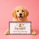 Buscar obediencia tarjetas de visita Entrenador de perros