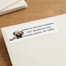 Buscar pug etiquetas Dirección