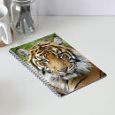 Buscar gato rayado cuadernos Felino