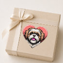 Buscar shih tzu pegatinas Familia