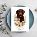 Buscar chocolate labrador tarjetas Perro