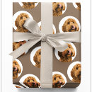 Buscar mascotas papel de regalo Para todos