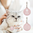 Buscar gato accesorios Mínimo