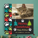 Buscar gatos adorables tarjetas Navidades miedosos