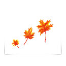Buscar hoja de arce tarjetas Hojas de otoño