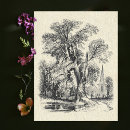 Buscar ceniza postales Ilustracion
