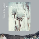 Buscar tonos pastel arte Para todos