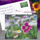 Buscar realista tarjetas Para ella