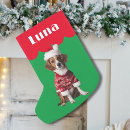 Buscar beagles calcetines navideños Perros