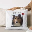 Buscar shelties Para ella