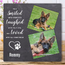 Buscar mascota memoriales Para mascotas