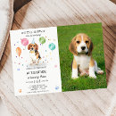 Buscar perro del beagle invitaciones Para todos