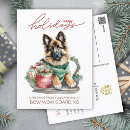 Buscar pastor belga postales Amante del perro
