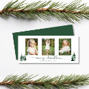 Buscar árboles forestales tarjetas General y unisex