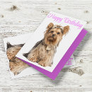 Buscar yorkshire terrier tarjetas Yorkie