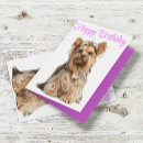 Buscar yorkshire tarjetas Perro
