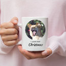 Buscar perros primero Para mascotas