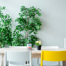 Buscar color pastel tazas Sencillo