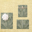 Buscar deco papel de regalo Moderno