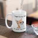 Buscar chihuahuas tazas Animal