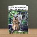 Buscar squirrel tarjetas Ardilla