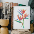 Buscar pájaros tropicales posters Pájaro del paraíso