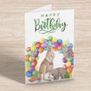 Buscar wombat feliz Cumpleaños