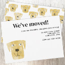 Buscar perro labrador invitaciones Para todos