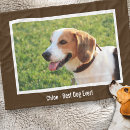 Buscar beagle mantas Amante del perro