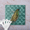 Buscar peacock azulejos Aves