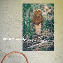 Buscar setas posters Para ellos