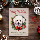 Buscar frise del bichon tarjetas Para ellos