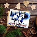 Buscar caballo feliz postales Amantes del caballo