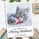 Buscar navidad gato postales Lindo gatito