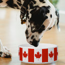 Buscar canadiense mascotas Para mascotas