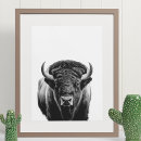 Buscar buffalo arte Bison