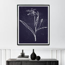 Buscar estampado de flores elegante posters General y unisex