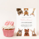 Buscar del búho del chica invitaciones de cumpleaños Animales de bosque