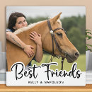 Buscar caballo blanco placas fotograbadas Ecuestre