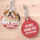 Buscar joven collares Para mascotas