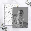 Buscar mascotas invitaciones Perros