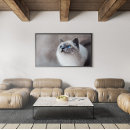 Buscar ojos azules grandes posters General y unisex