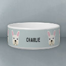 Buscar perro del frenchie Para mascotas