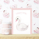 Buscar cisnes blancos tarjetas Cisne blanco