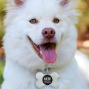 Buscar funny placas para mascotas Humor