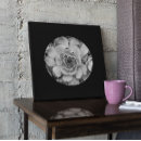 Buscar formas lienzos Jardín