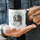 Buscar berner Animal