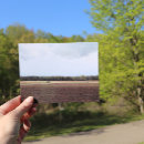 Buscar medio oeste postales Árboles
