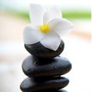 Buscar equilibrio espiritual tarjetas Zen