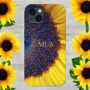 Buscar semillas del fotografía Girasoles